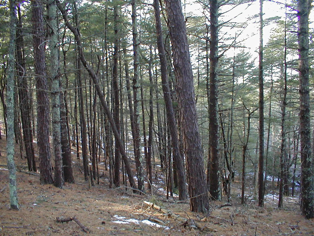 No description provided for: /2010/10-12/1120-erin-orleans-hikes/photo08.html