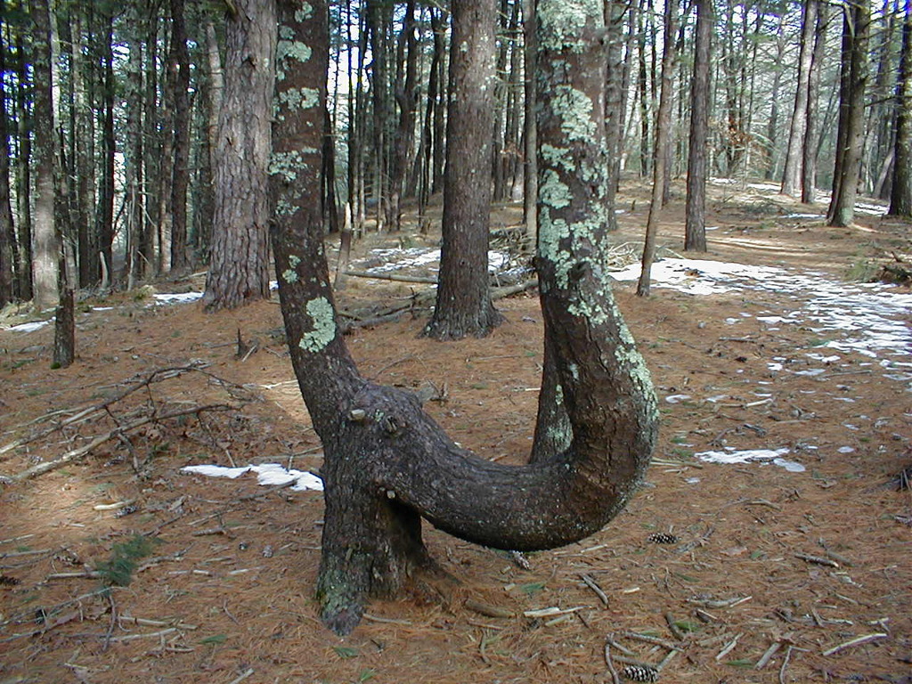 No description provided for: /2010/10-12/1120-erin-orleans-hikes/photo09.html