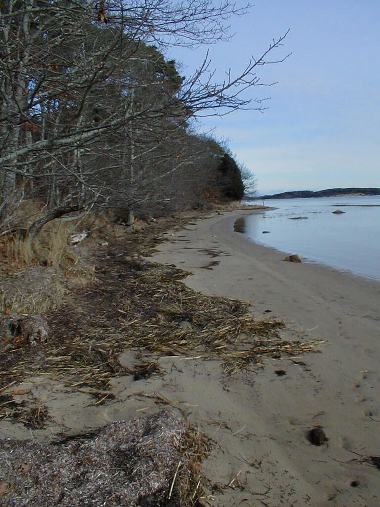 No description provided for: /2010/10-12/1120-erin-orleans-hikes/photo14.html