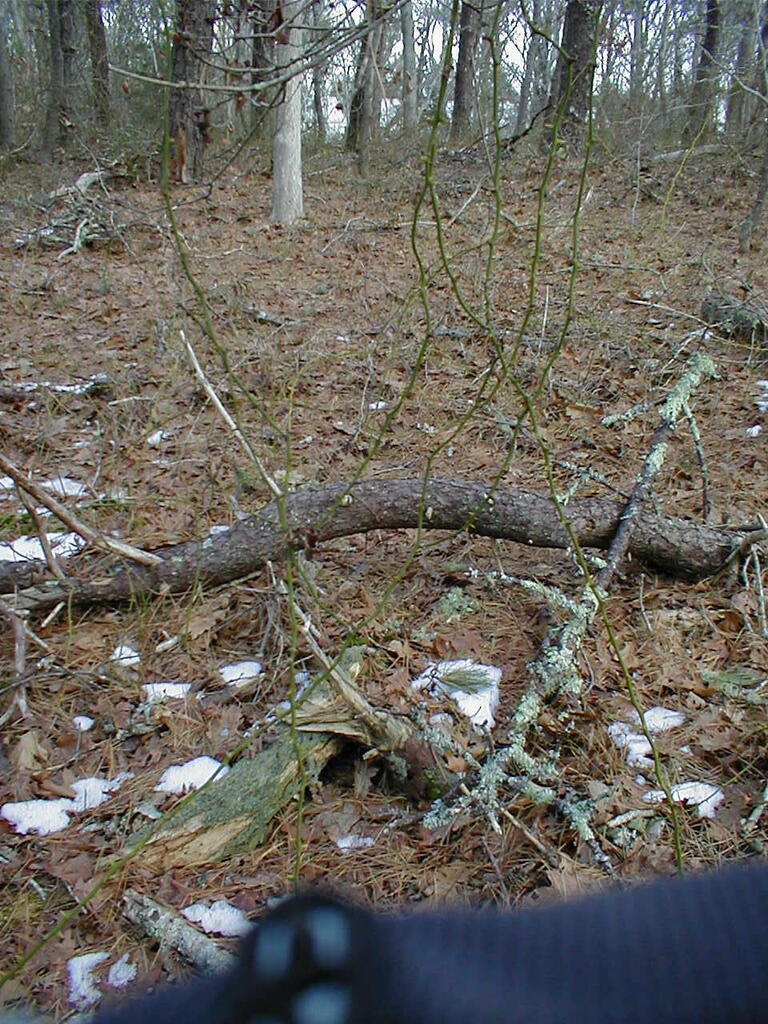 No description provided for: /2010/10-12/1120-erin-orleans-hikes/photo16.html