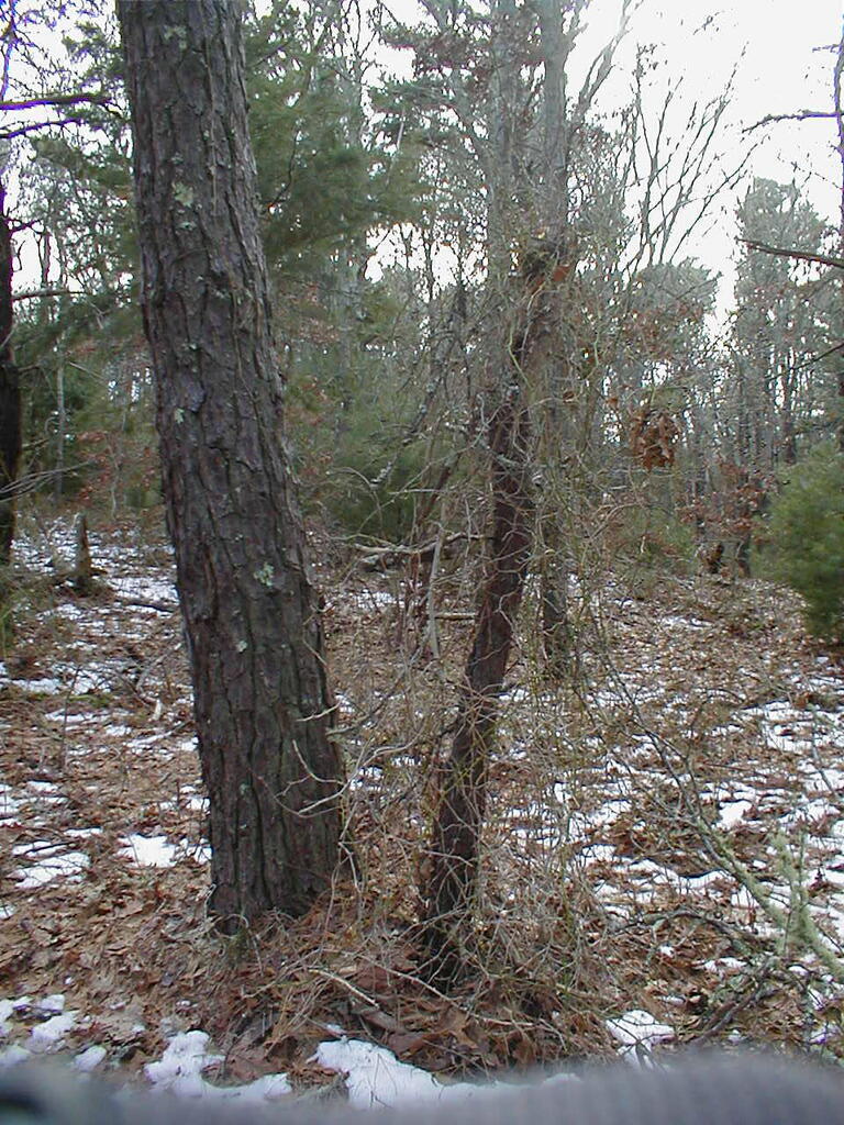 No description provided for: /2010/10-12/1120-erin-orleans-hikes/photo17.html