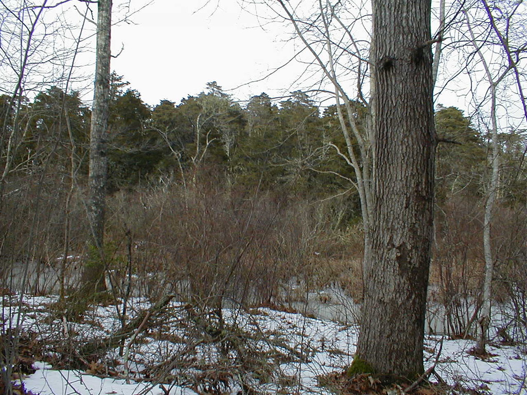 No description provided for: /2010/10-12/1120-erin-orleans-hikes/photo18.html