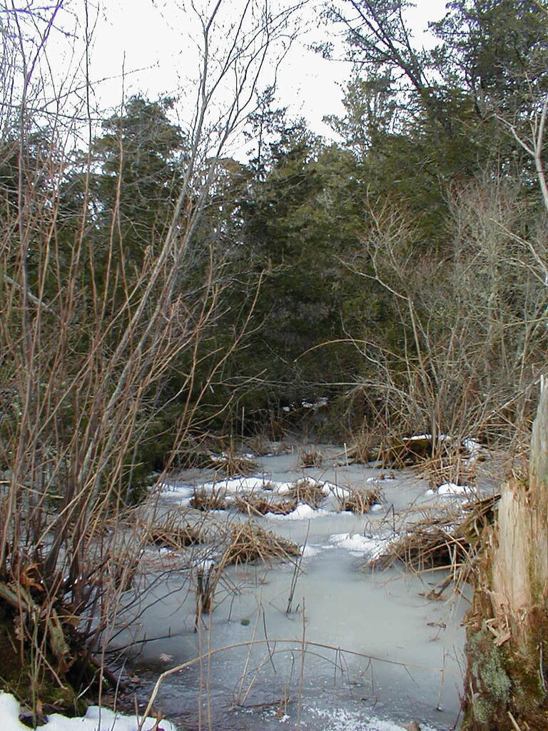 No description provided for: /2010/10-12/1120-erin-orleans-hikes/photo20.html