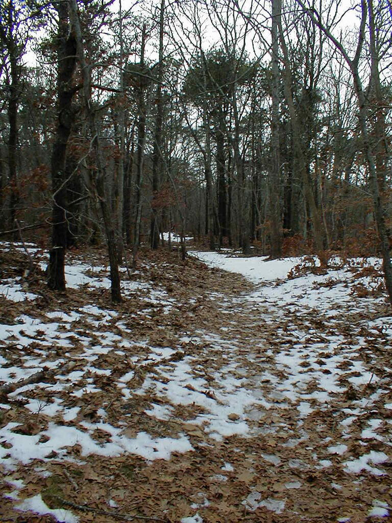 No description provided for: /2010/10-12/1120-erin-orleans-hikes/photo21.html