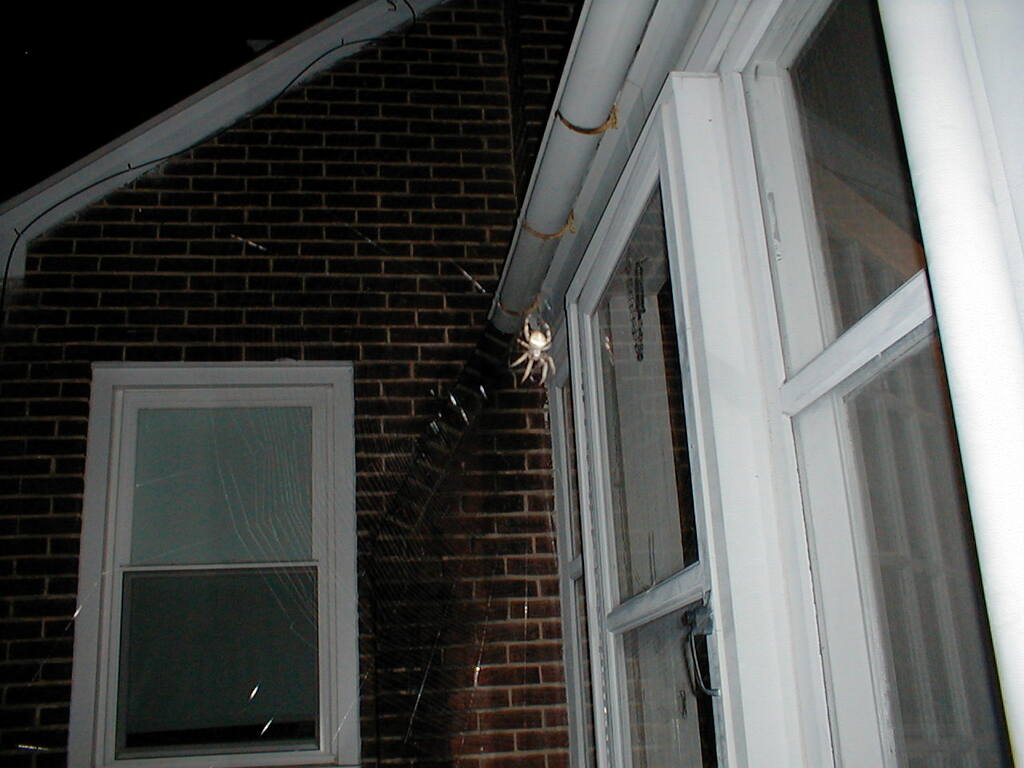 No description provided for: /2010/10-12/1120-erin-udel/photo01.html