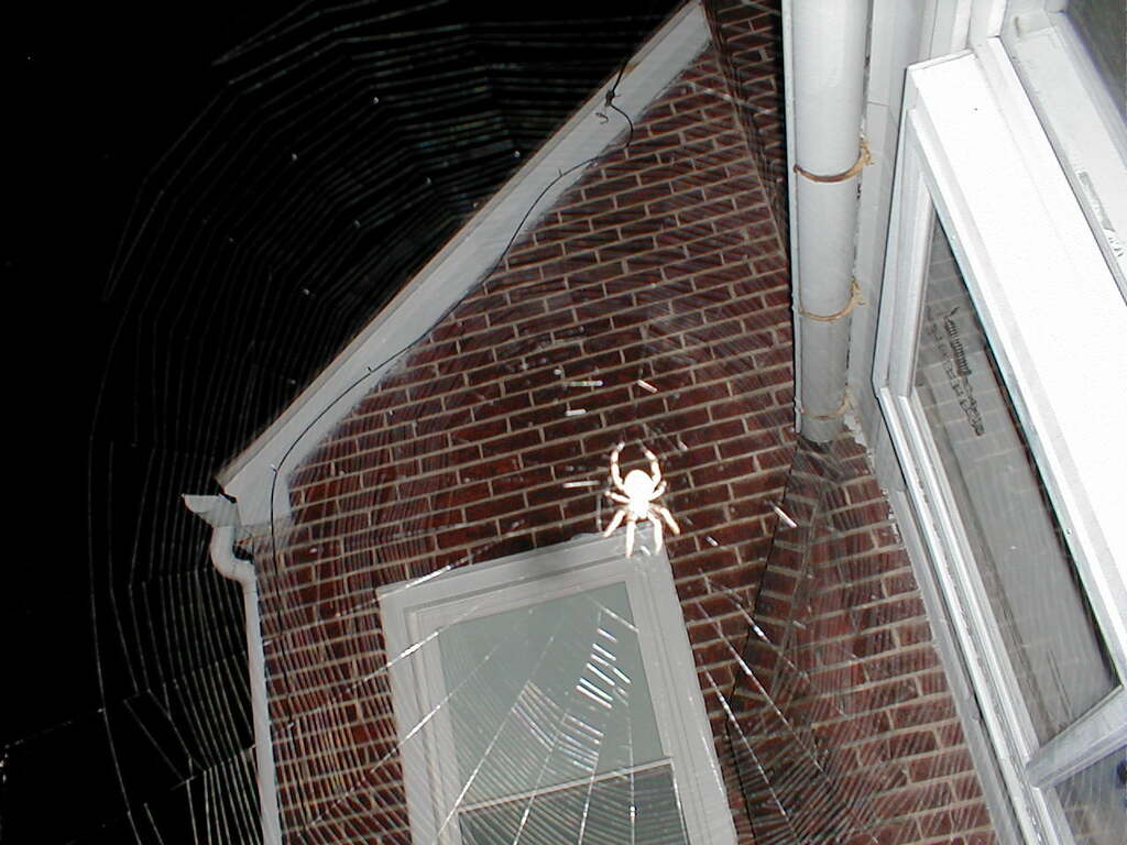 No description provided for: /2010/10-12/1120-erin-udel/photo02.html