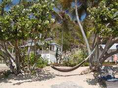 Image file: photo26.jpg