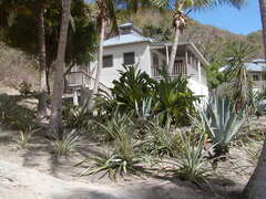 Image file: photo31.jpg