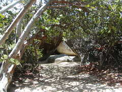 Image file: photo37.jpg