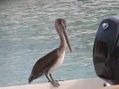 Image file: photo18.jpg