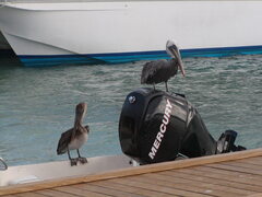 Image file: photo19.jpg