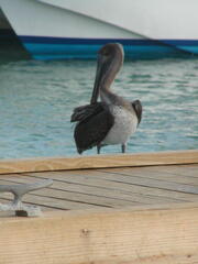 Image file: photo23.jpg