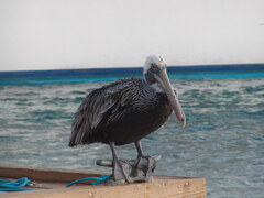 Image file: photo28.jpg