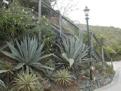 Image file: photo07.jpg