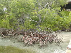 Image file: photo11.jpg