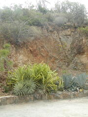 Image file: photo13.jpg