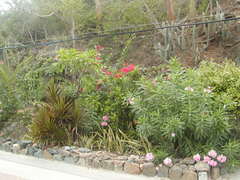 Image file: photo14.jpg