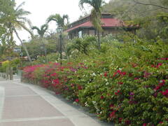 Image file: photo15.jpg