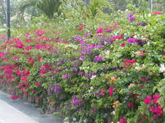 Image file: photo16.jpg