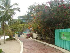 Image file: photo23.jpg