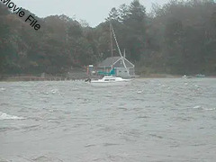 Image file: movie03.mov