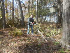 Image file: photo01.jpg