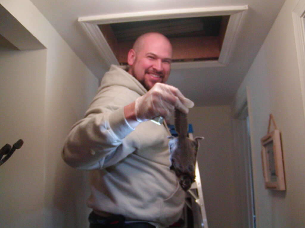 No description provided for: /2011/0302-vermin/photo01.html