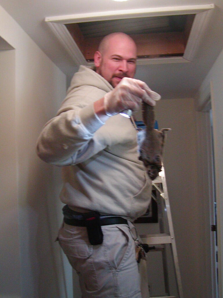 No description provided for: /2011/0302-vermin/photo02.html