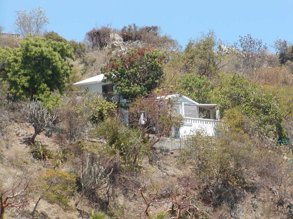 No description provided for: /2011/0506-bvi/_2/photo24.html