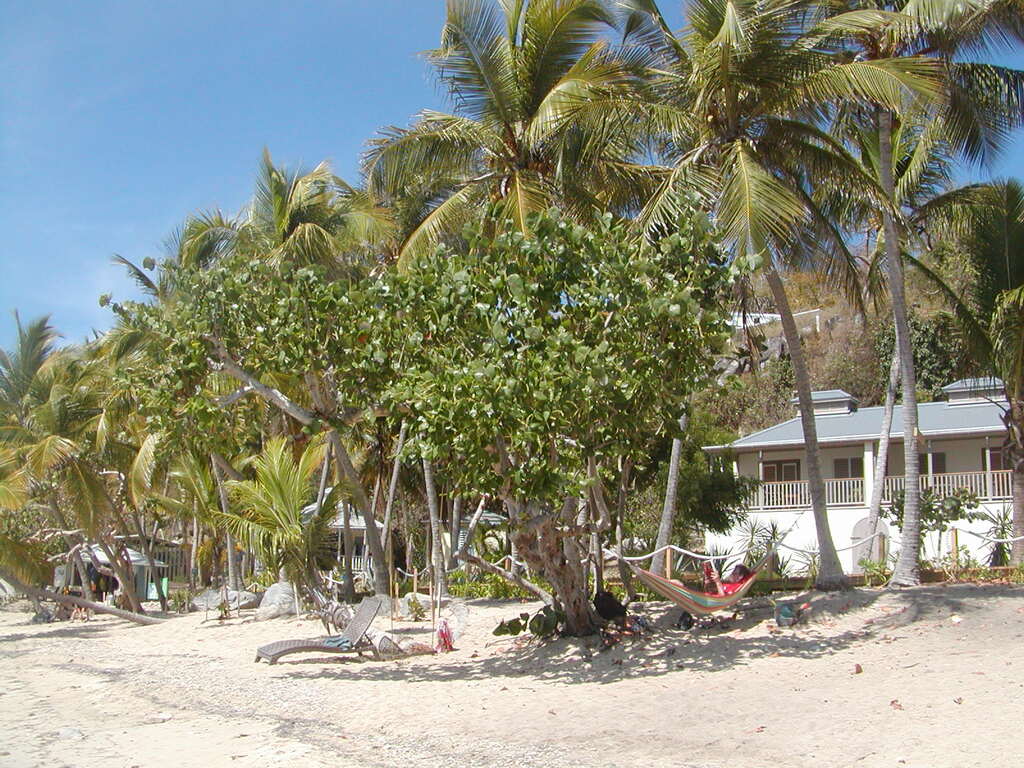 No description provided for: /2011/0506-bvi/_2/photo27.html