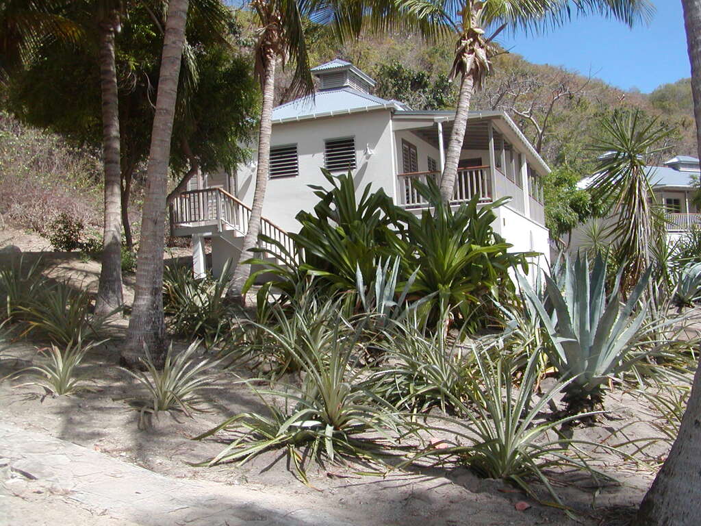 No description provided for: /2011/0506-bvi/_2/photo31.html