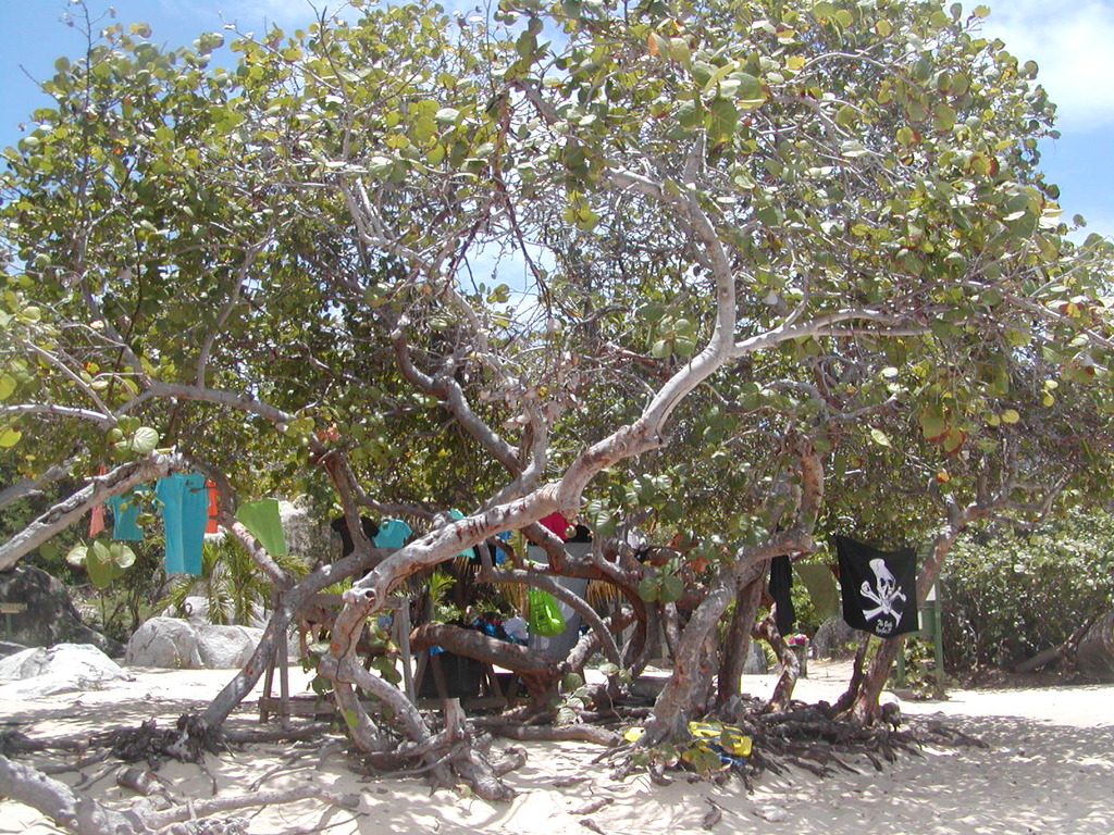 No description provided for: /2011/0507-bvi/_1/photo15.html