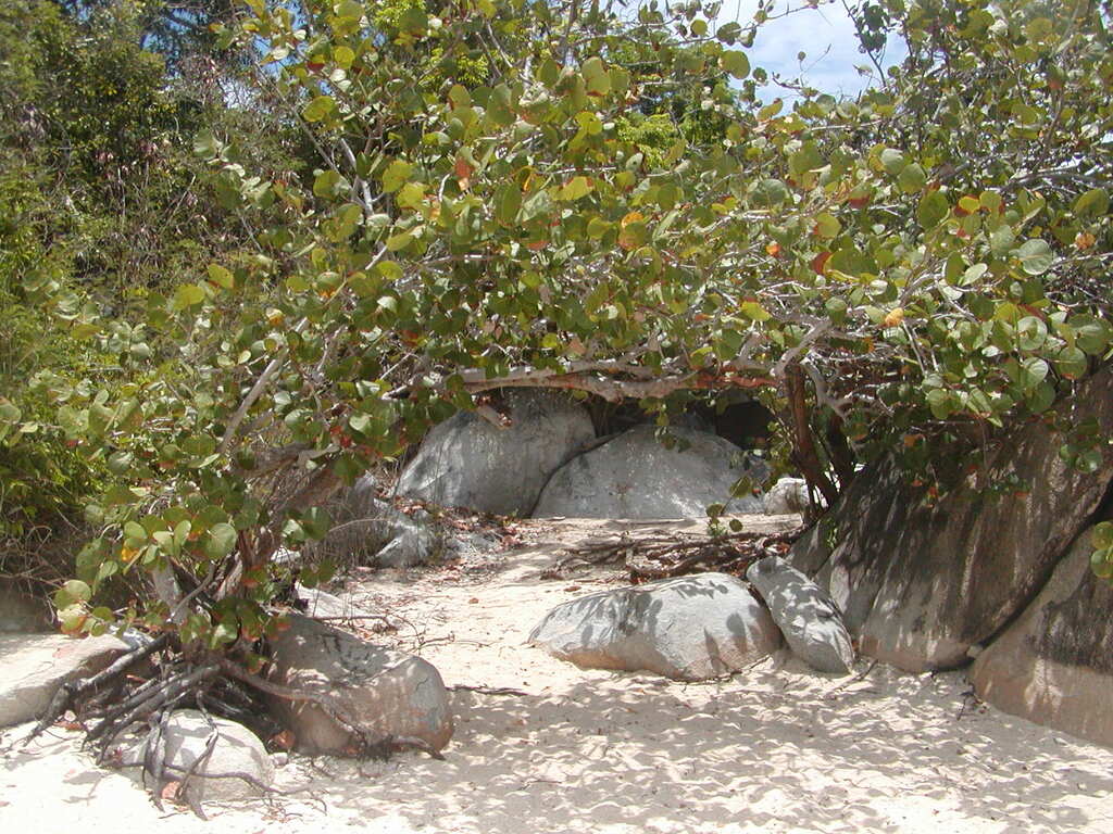 No description provided for: /2011/0507-bvi/_1/photo19.html