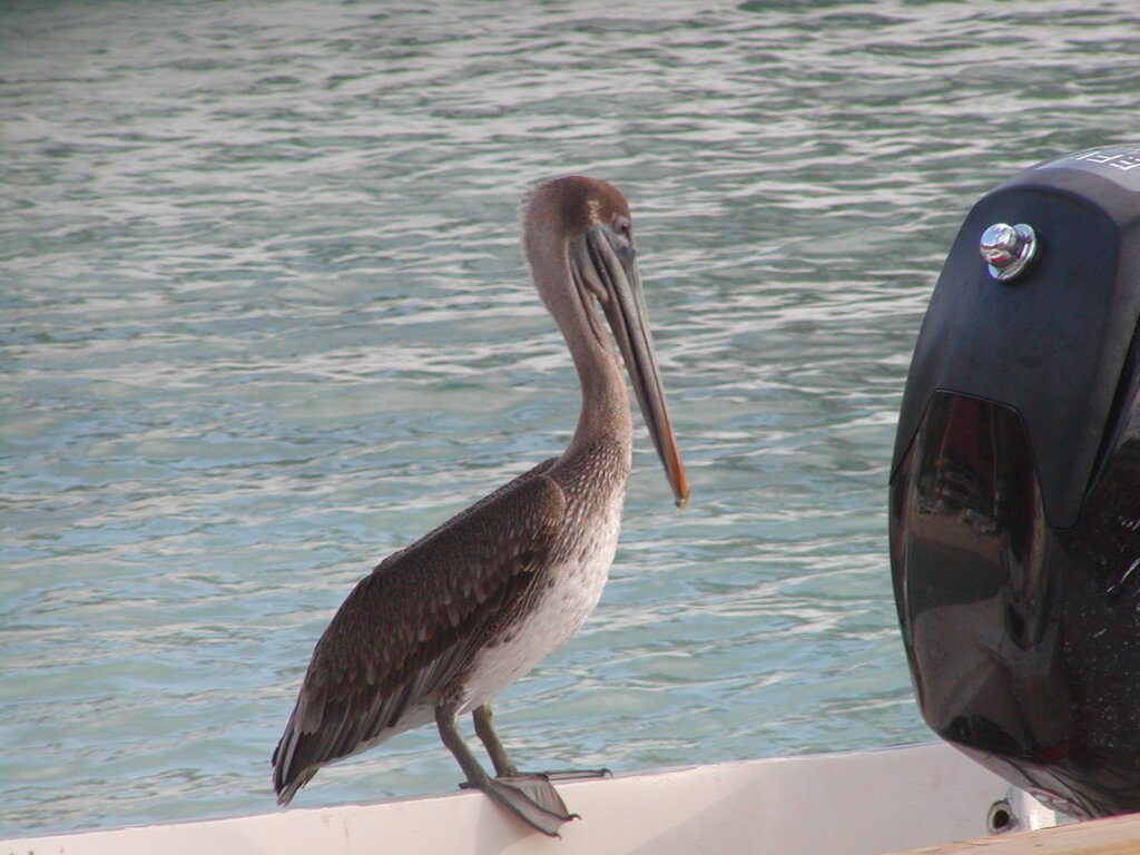 No description provided for: /2011/0509-bvi/_2/photo18.html