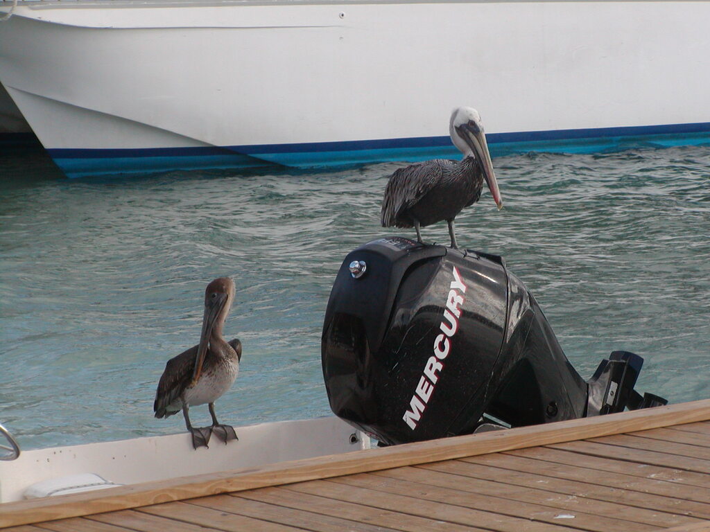 No description provided for: /2011/0509-bvi/_2/photo19.html