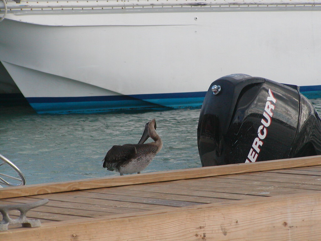 No description provided for: /2011/0509-bvi/_2/photo20.html