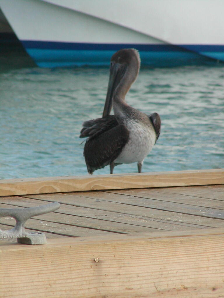 No description provided for: /2011/0509-bvi/_2/photo23.html