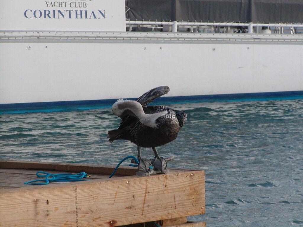 No description provided for: /2011/0509-bvi/_2/photo26.html