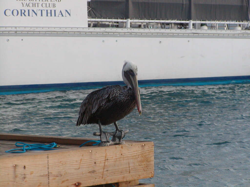 No description provided for: /2011/0509-bvi/_2/photo27.html