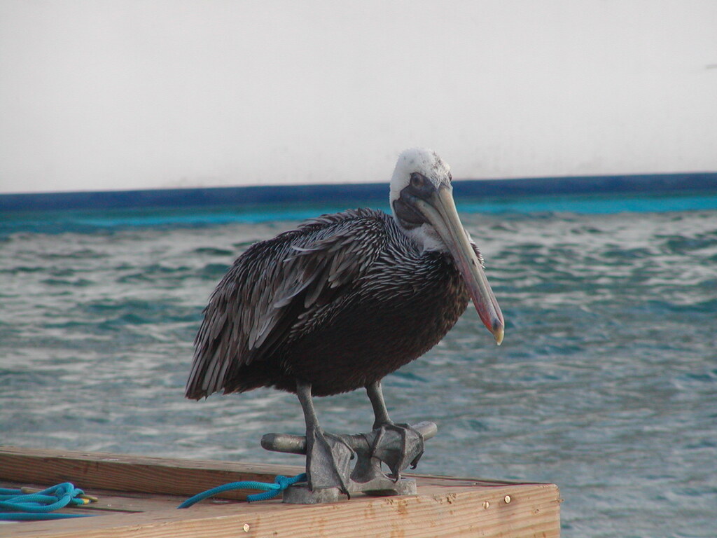 No description provided for: /2011/0509-bvi/_2/photo28.html