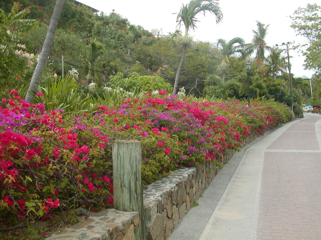 No description provided for: /2011/0510-bvi/_1/photo03.html