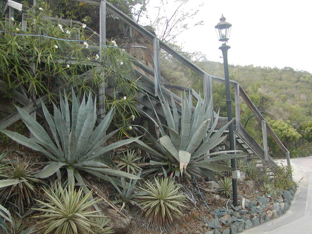 No description provided for: /2011/0510-bvi/_1/photo07.html