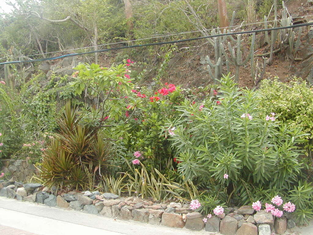 No description provided for: /2011/0510-bvi/_1/photo14.html