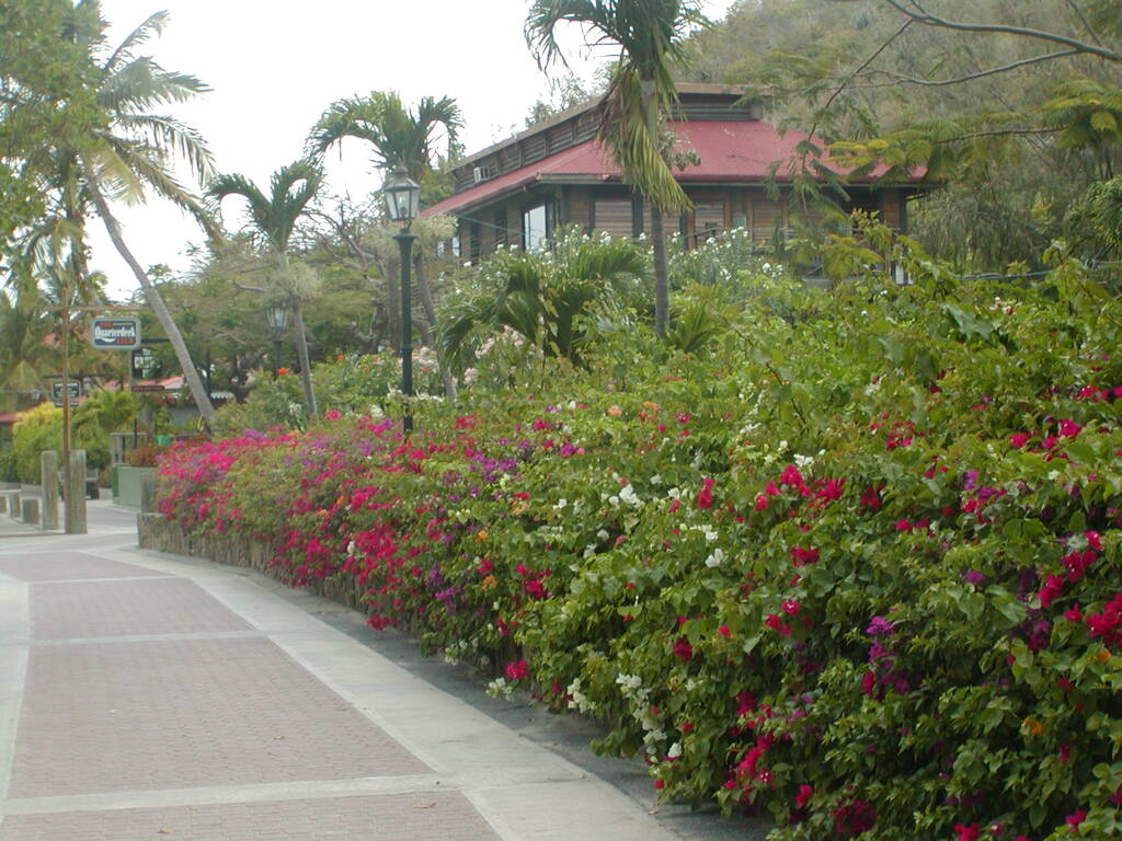 No description provided for: /2011/0510-bvi/_1/photo15.html