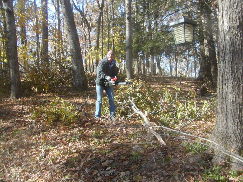 No description provided for: /2011/1106-baby-chainsaw/photo01.html