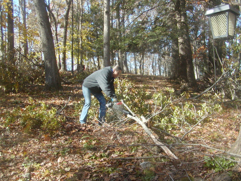 No description provided for: /2011/1106-baby-chainsaw/photo02.html