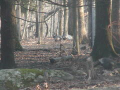 Image file: photo05.jpg