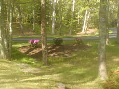 Image file: photo02.jpg