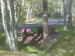 Image file: photo03.jpg