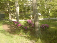 Image file: photo05.jpg